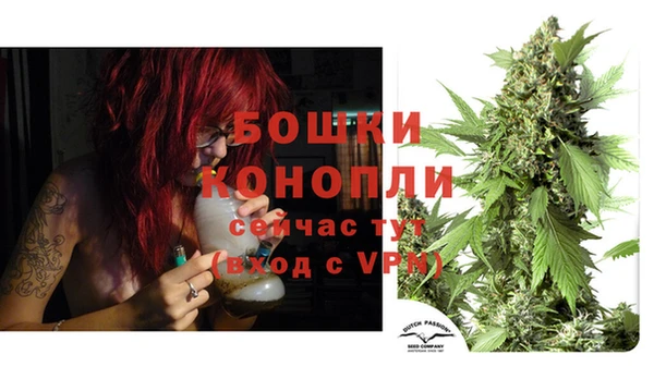 МДПВ Медвежьегорск